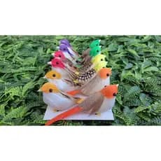 12 Passarinhos 10,5cm Artificiais Pena Natural Coloridos Jardim Festas Decoração