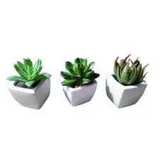 3 Mini Suculentas Artificiais com pedrinhas no Vaso Cerâmica Branco
