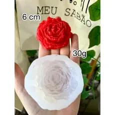 Forma de silicone Peônia