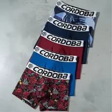 Kit 6 Cuecas Boxer Masculinas Qualidade Premium em Cores Diversas