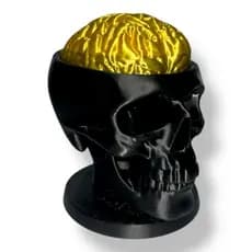 Caveira Cérebro 15cm Decoração Pronta Entrega