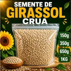 Semente de Girassol Crua Natural Granel Proteína Vegetal Vegano Mix Sementes Fit Saúde