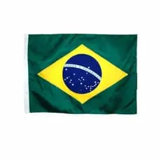 Bandeira Do Brasil Oficial Copa Tecido 30x40cm