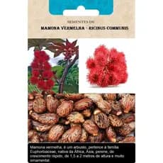 Sementes Mamona Vermelha Red Ricinus Communis Ornamental