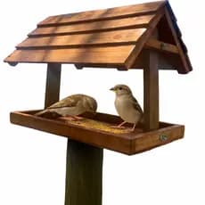 Casinha de Passarinho Jardim Comedouro Para Aves Alimentador de Pássaros Livres Tratador em Madeira Grande Qualidade