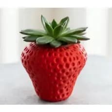 Vaso para Suculenta Tema Morango