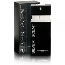 Perfume Jacques Bogart Silver Scent Masculino Edt 100ML