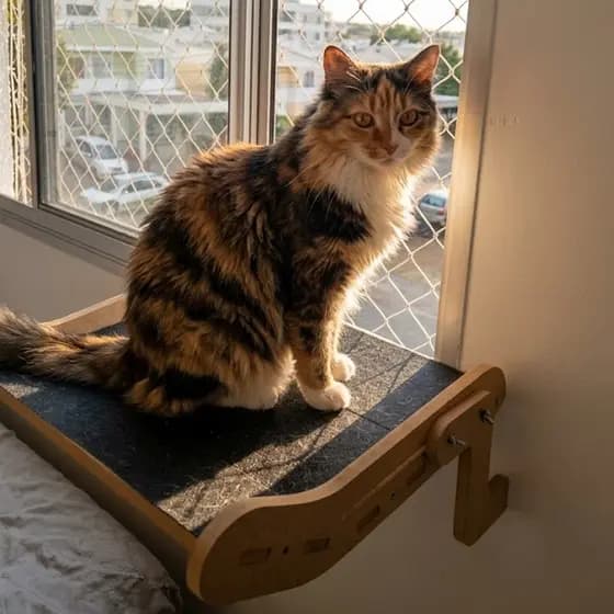 Suporte Para Janela De Gatos Cama Suspensa Reforçada MDF 15mm Capacidade 25kg