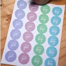 240 - 720 Adesivos Chá Revelação BOY / GIRL - 4cm - Papel 100g Sulfite Fosco [ ESCOLHA O MODELO ]