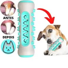 Brinquedo Pet 3x1 Mordedor Osso Massageador Gengiva Removedor Tártaros Escova de Dente Para Pets