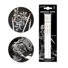Kit 3 Lápis Carvão Branco Desenho Profissional Artístico Sombra Realismo