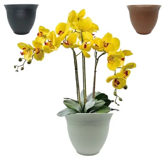 Vaso Decoração para Orquidea / Cachepô  Redondo  - Vaso de Planta Grego Atena