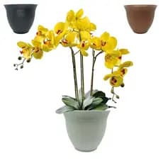 Vaso Decoração para Orquidea / Cachepô  Redondo  - Vaso de Planta Grego Atena