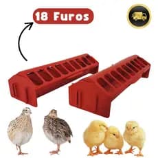 Comedouro Calha Plástico DURÁVEL 30cm - Codornas Pássaros Pintinhos Granja Galinha