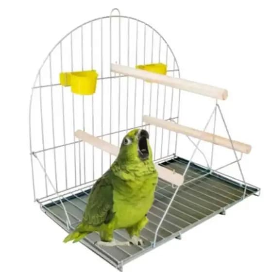 Poleiro Aberto papagaio ,Maritaca, Loro, Calopsita