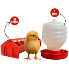 Kit Comedouro Calha Plástico DURÁVEL 30cm e Bebedouro 1L- Codornas Pintinhos Granja Galinha