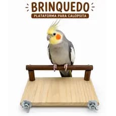 PLATAFORMA DESCANSO  POLEIRO BRINQUEDO PARA CALOPSITA / MARITACA/PERIQUITO