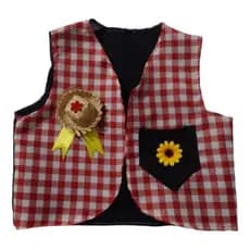 Colete Roupa De Festa Junina Menino Caipira Masculino Infantil Xadrez Vermelho Arraial São João