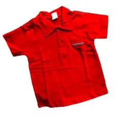 Camisa Infantil Gola Polo Menino Roupa Social