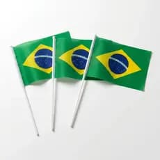 Kit 3 Bandeira De Mão Brasil Copa Do Mundo Eleição Decoração