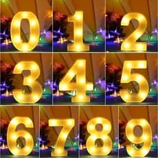 Número LED Luminoso Decorativo 0 a 9 Branco Quente 16cm 3D Para Festa e Casamento e Evento Com Pilha
