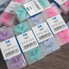 Borracha escolar CiS Spring com cores lindas