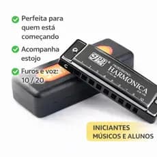 Gaita Harmônica Blues Em Dó C 10 Furos 20 Vozes Diatônica Com Estojo Para Iniciantes