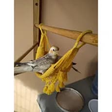 Rede de descanso para Calopsita , Ring Neck, gapornis e aves do mesmo porte com suporte (argola)para Ga1ola