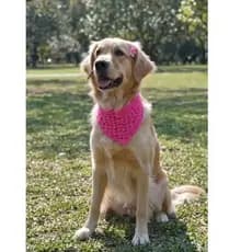 kit 5 bandana pet crochê feito a mão, artesanal