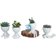 Kit 4 Vasos de 10cm Decorativo Para Suculentas com 10cm Altura Bob Robert Plant New 2024 lançamento