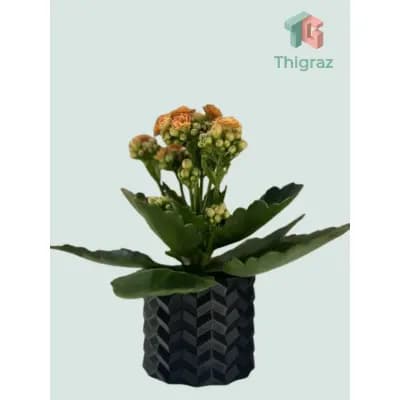 Vaso de planta Sagitta | Vaso decorativo | Vaso personalizado | Vaso moderno