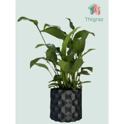 Vaso de planta Orion | Vaso decorativo | Vaso personalizado | Vaso moderno