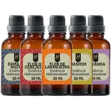 Kit 5 Aromas 30ml Hidrossolúvel Base Água Para Aromatizador