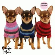 Roupa Pet Mini Pequeno Porte Kit 2 Roupinha Pinscher Chihuahua Cachorro Raça Filhotes Entrega Rápida