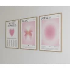 Quadro decorativo Rosa Aura Halo pink 3 peças 40x60