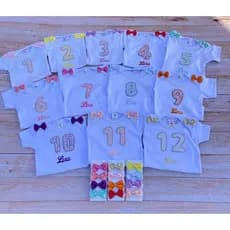 Roupa infantil/ body / body mêsversario/ roupa temática/ body temático/