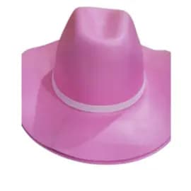 chapeu de eva rosa cawboy de boiadeira