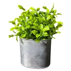 Vaso Decorativo com Planta Artificial Chouette em Ferro e Plástico PVC/PE