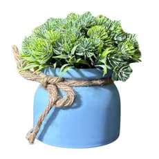 Planta Artificial Decorativa com Vasinho Redondo Azul