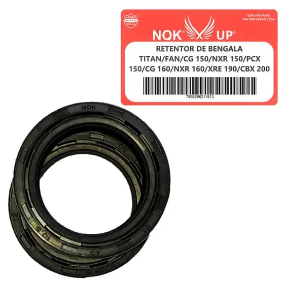 Par Retentor Cilindro Bengala Cg Titan 150 Envio em 24 Horas