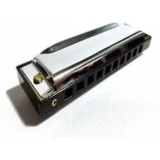 Gaita Stagg Bjh-b20c Harmonica Blues Do C 20 Vozes Diatonica
