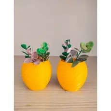 KIT 2 vasinho para suculentas e cactos vaso decorativos