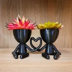 vaso casal para suculentas vaso para suculentas me cactus