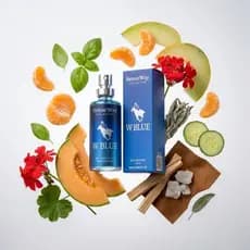 Perfume De Bolso Deo Colônia W Blue Masculino 15 Ml