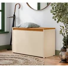 Sapateira com 1 porta Organizadora Multiuso Para Quarto Closet Armário