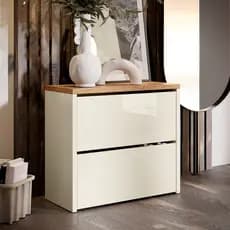 Sapateira com 2 Portas Multiuso Organizadora Para Calçados Quarto e Closet