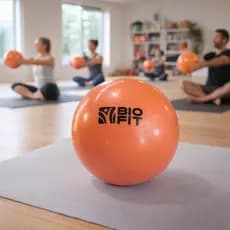 Bola de Peso Bio Fit 1Kg Fisioterapia Exercício Bolinha Exercitar Pilates Academia