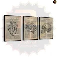 Kit Quadros Decorativos Mosaico 3 Peças Moderno Decoração Consultório Médico Psicologia Medicina Recepção Vintage Frase Modular Presente Arte Vida