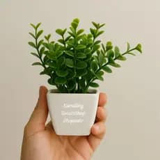 Arranjo Mini Buquê Premium Eucalipto Verde Com Vasinho Quadrado De Plástico Com Musgo, Arranjinho Decoração Sala