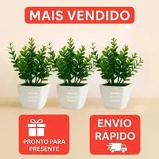 Vaso com Ramo de Eucalipto Artificial Buchinho + Vasinho quadrado de musgo Branco Decoração Enfeite para casa
